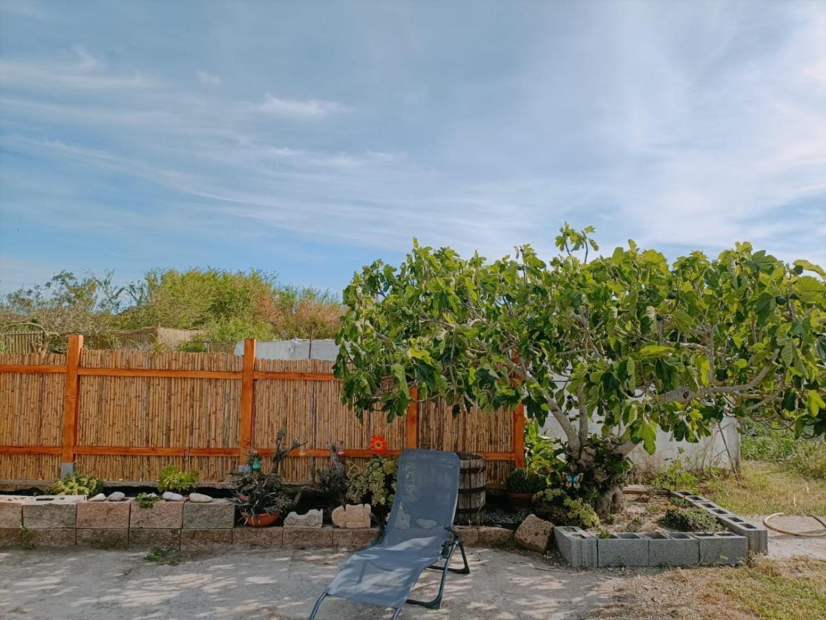 Holiday home Casa Ligustro Il Gabbiano