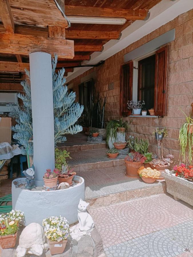 Casa Ligustro Il Gabbiano